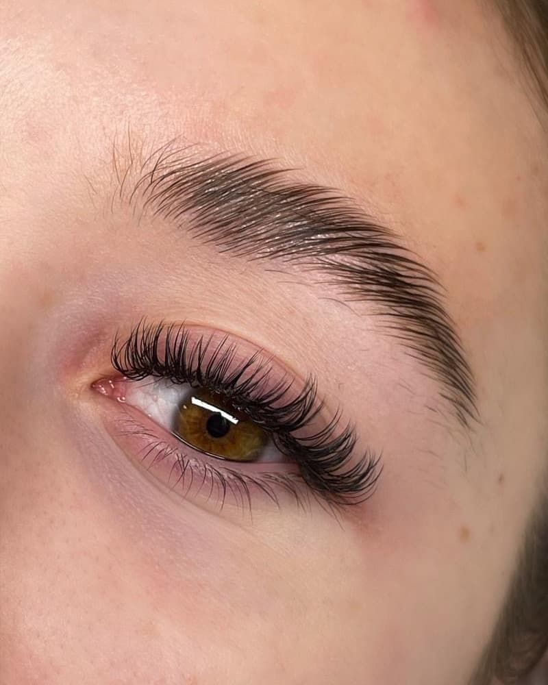 A Wet Set of eyelash extensions, close up